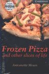 FROZEN PIZZA AND OTHER SLICES OF LIFE - LEVEL/6 AD
