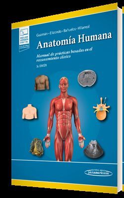 ANATOMIA HUMANA EN CASOS CLINICOS INCLUYE VERSION DIGITAL