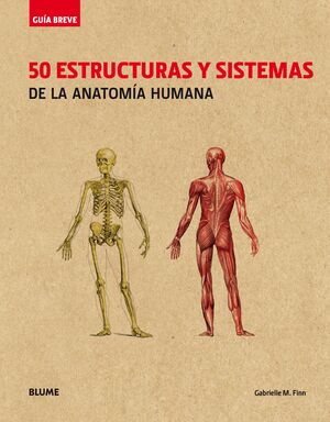 GUIA BREVE. 50 ESTRUCTURAS Y SISTEMAS DE LA ANATOMIA HUMANA (RUSTICA)