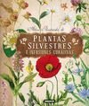 PLANTAS SILVESTRES CON INFUSIONES Y TISANAS REF.851-160