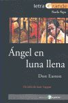 ANGEL EN LUNA LLENA - LG NOVELA NEGRA, 10