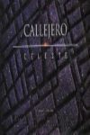 CALLEJERO CELESTE -GUIA DE CAMPO DEL CIELO DE CANARIAS ESTR.CONST