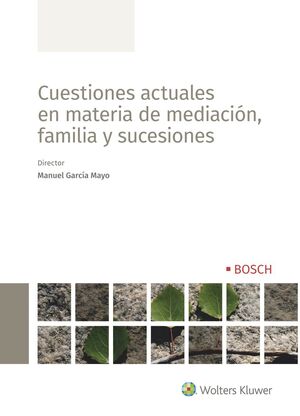 CUESTIONES ACTUALES EN MATERIA DE MEDIACIÓN, FAMILIA Y SUCESIONES