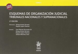 018 T1 ESQUEMAS DE ORGANIZACIÓN JUDICIAL TRIBUNALES NACIONALES Y SUPRANACIONALES