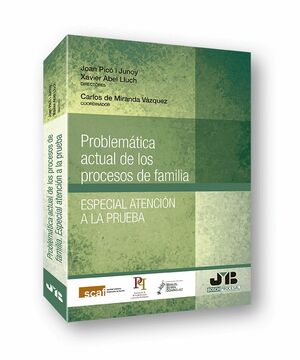PROBLEMÁTICA ACTUAL DE LOS PROCESOS DE FAMILIA ESPECIAL ATENCIÓN A LA PRUEBA